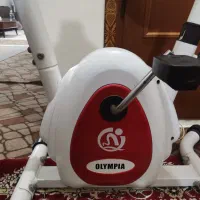 دوچرخه ثابت مگنتی المپیا 7011