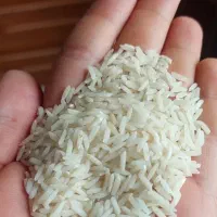 برنج سالم هاشمی به شرط
