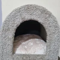 جای خواب گربه