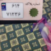 پلاک موتور گمشده