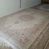 قالی سالم