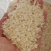 فروش برنج قسطی