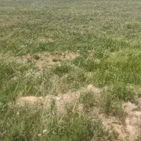زمین بر سنتو