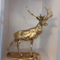 گوزن برنجی