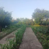 زمین باغ در موقعیت مکانی خوب