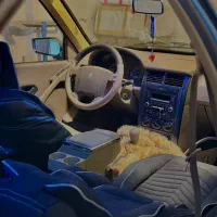 405 glx|خودرو سواری و وانت|قشم, |دیوار