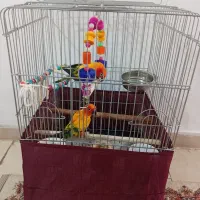 یه جفت خورشیدی