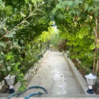 باغ ۷۰۰ متری دولاب