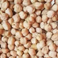 فروش نخودسفیدتمیزپزا