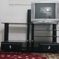 تلویزیون