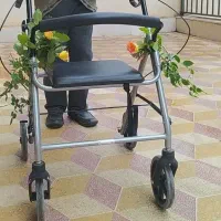 جذب خدمتکار خانم ، شیراز منطقه معالی‌آباد