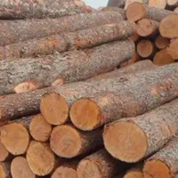 خرید و فروش چوپ خشک و تر