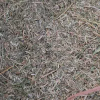 کاه یونجه درجه یک