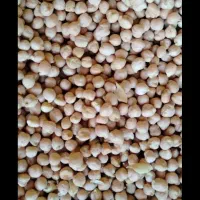 نخود درشت و بوجاری کرده درجه یک