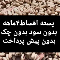 آجیل موادغذایی،  پوشاک،. ارایشی بهداشتی اقساط