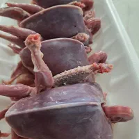 گوشت
