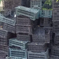 سبد پلاستیکی