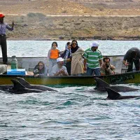 گشت جزیره خودرو ۱۵۰۰|خدمات حمل و نقل|قشم, |دیوار