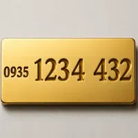 2 3 4  1234 .0935 . بیــلبــوردی VIP