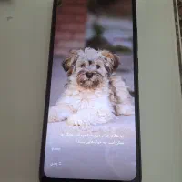 گوشی شیائومی ‌12c