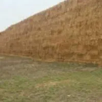 ۳۵۰عدد کاه پرس شده گندم میخوام