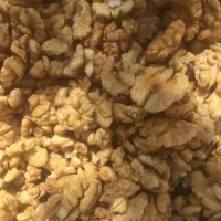 گردو کوهستانی