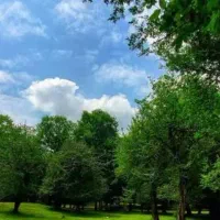فروش-زمین-باغی-مجموعه-مهراب-دهبید-مرودشت