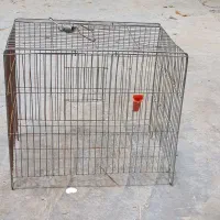 قفس قناری