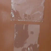 سلفون
