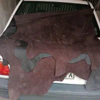 فروش چرم طبیعی گاوی