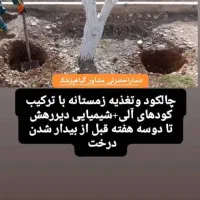 چالکود پودری وارداتی انگلیس دیر رهش