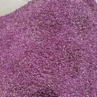 مرکز جمع آوری غنچه وگل محمدی
