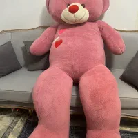 خرس خوشگل صورتی