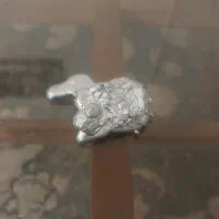 ۶۰گرم نقره خالص