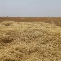 کاه برای حیوانات