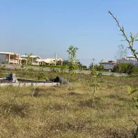 باغچه-170متری-جنگلی-سرمایه-گذاری-ناب