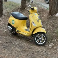 وسپا اصلی vxl150