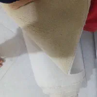 پالاز موکت