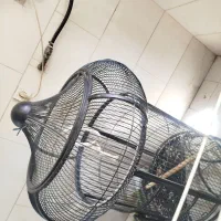 قفس وارداتی مناسب شاه طوطی و کاسکو