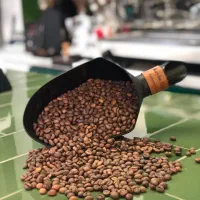 پخش قهوه