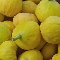 انجیر|خوردنی و آشامیدنی|ساوه, |دیوار