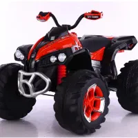 شاسی بلند 4X4 (بیهق 4) موتور و ماشین شارژی