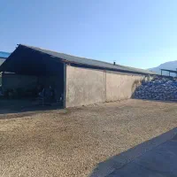 استخدام نیرو فنی و ساده