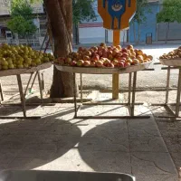 شاگرد میوه فروشی