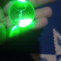 جاسویجی