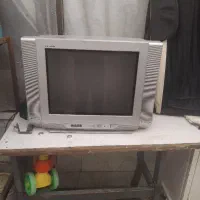 تلویزون