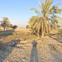 زمین-باغ-چاهبردی