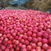 کود شیمیایی اوره