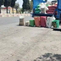 حبوبات تازه کرمانشاه