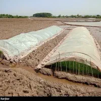 زمین کشاورزی حاصلخیز درجیره سرخمام